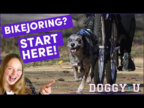 download lagu mp3 mp4 Bikejoring, download lagu Bikejoring gratis, unduh video klip Bikejoring