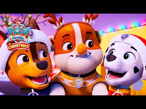 Kan du tro att det äntligen är jul? | Sång | Julspecial | PAW Patrol | På Svenska