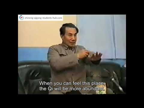 Zhineng Qigong - Dr Pang: Chen Qi Exercise (English Subtitles)