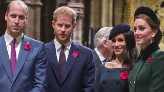 Royal Fab Four: Inside Their Tense Relationship