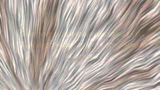 Il volo del mio amore di Massimo Rotundo (R) - Musica Armand Amar