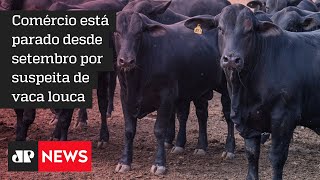 Exportação de carne bovina à China segue interrompida e preocupa produtores