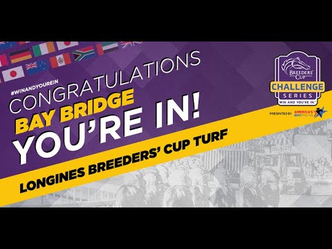 2022 QIPCO Champion Stakes- Bay Bridge