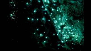 Cloud Control-Dream Cave(Lyrics)