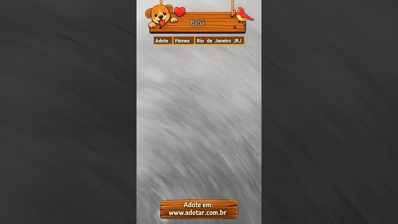 Cachorro raça SRD-ViraLata idade 1 ano nome Bebê 