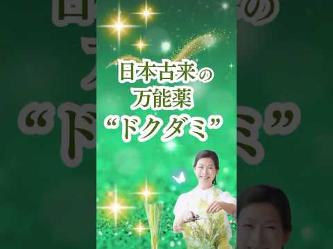 医療ビジネス薬科学科 2024年12月15日