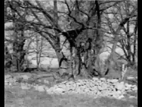 Carsten Rausch & Ferdinand Laurin - Quattrow [Rundfunk 3000 Remix] (Acker 014).avi