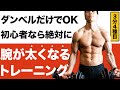 【3分】腕が太くなる筋トレスーパーセット!初心者でも効く5種目