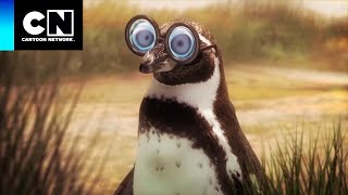 Oswaldo: Por dentro da série | Oswaldo | Cartoon Network