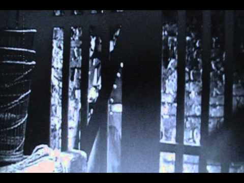 Sons of E.D.  "Science of Education" music video, Crosswords album