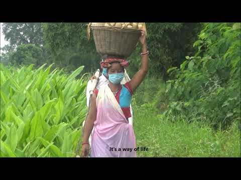Young Farmers Dance Challenge Entry #8 - Tharu Young Farmers - National Land Rights Forum (Nepal)