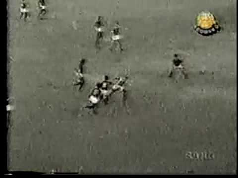 Palmeiras 3x0 Portuguesa Santista Campeonato Paulista 1975