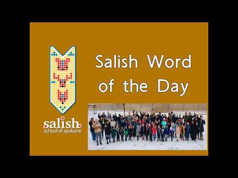 Salish Word of the Day No. 348 wic̓m̓ / dig roots