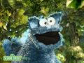 Sesame Street Elmo S World 0706