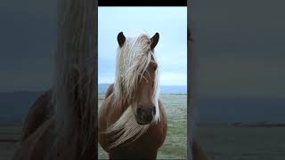 Three wishes  Wish number one.