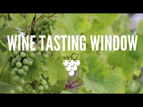 Spain | DO Empordà | Cosmic 2019 - Wine Tasting Window - WSET L3/L4 Method