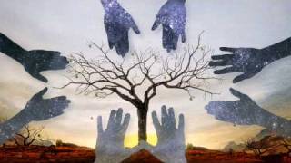 Yeasayer &quot;Wait For The Summer&quot;