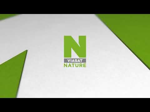 Viasat Nature HD - Каш (30.01.2022)