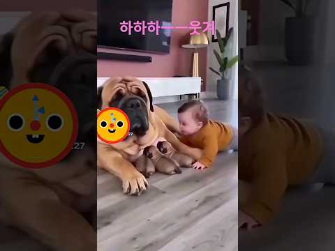 잉 하하하ㅡㅡ웃겨