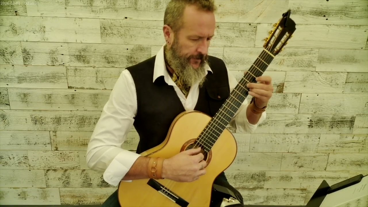 Promotional video thumbnail 5 for Swede's Guitar