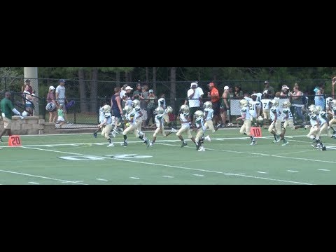 Grayson AN (Locsin) vs. N. Gwinnett NN (Rashad) - 9U |9.8.18| George Pierce Park