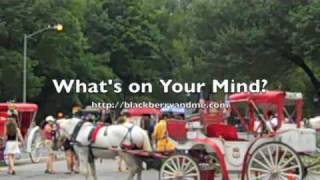 New York City Sightseeing, Part 13