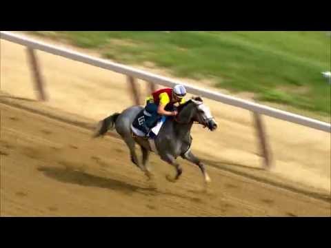 BELMONT WORKOUT: Cherry Wine (6/4/16)