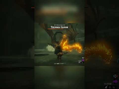 Gleeoks are a tuff nut to crack! #totk #zelda #shorts