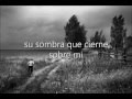 Ryan Levine -Through the trees- Traducida ...