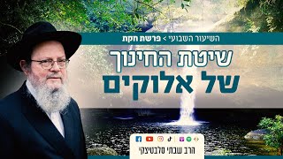 פרשת חוקת • ילד עם לב מאבן, יש  סיכוי לגעת בו?