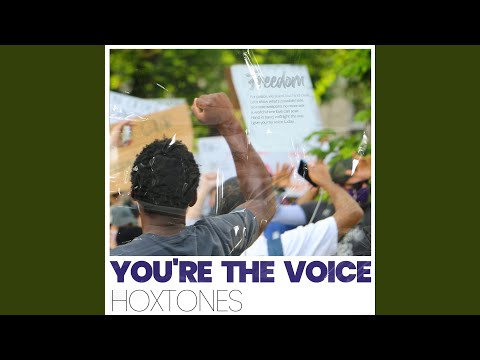 You're The Voice (Hoxtones & DFE Extended Mix)