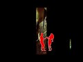 , swing y song -  charlie palmieri