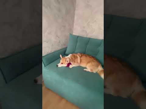 Диван-кровать Клио мод.1. А кат.