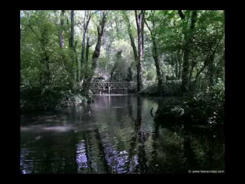 Paul Muriat, Yo te amo yo tampoco