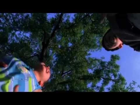 Nicolas de Angelis - Symphony No.40 (Mozart)