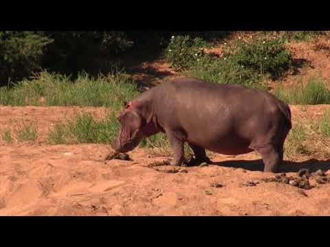 Mokore Camp 2017 - Double D' Productions