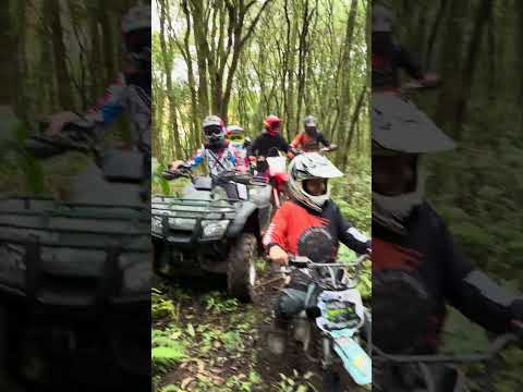 1º Trilha Kids Tabaco lama Piên Pr 🚀