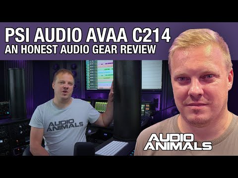 PSI Audio AVAA C214 - An Honest Audio Gear Review