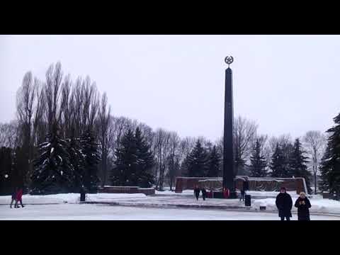 Куряне отметили 79-ю годовщину освобождения города