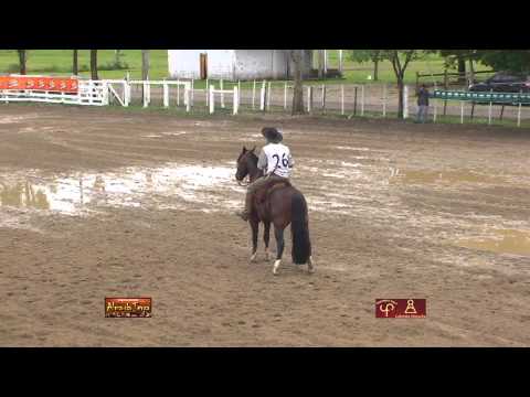 Ginete Jose Fonseca Macedo 1º Lugar Prova Machos com Donde Estas 110 da Trovador