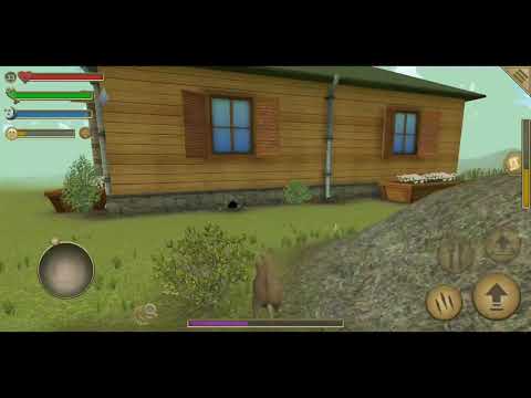 баги в симуляторе мыши. симулятор мыши баги. кид симулятор мыши. норка мыши симулятор мыши. баги в симуляторе мыши.