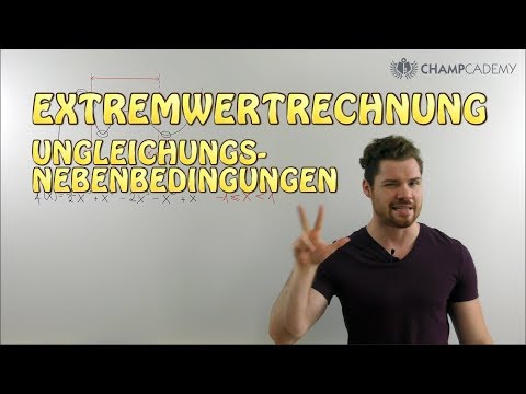 Extrema unter Ungleichungsnebenbedingungen (Übersicht)