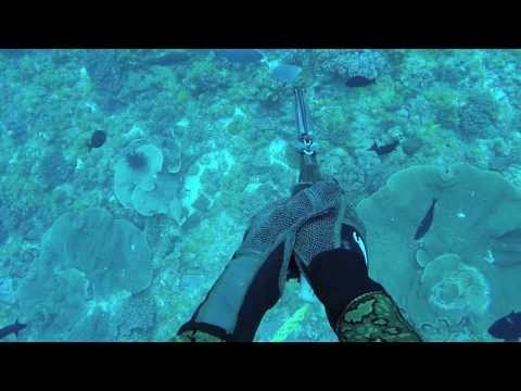 Spearfishing Australia - The Secrets of the South