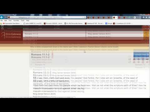 Proof Steven Anderson is a Liar and a Heretic - Max Bauer