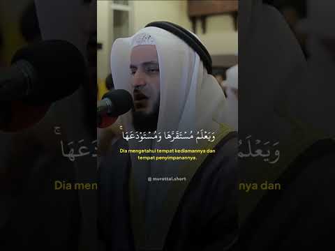 SURAH HUD : 6 ~ Syaikh Misyari Rasyid Alafasy
