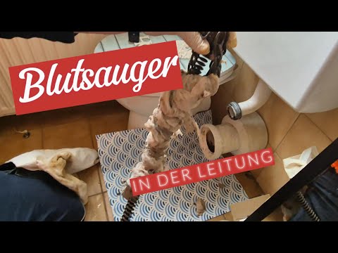 Bloodsuckers in the main line are eliminated with a motor spiral (minimal cut)