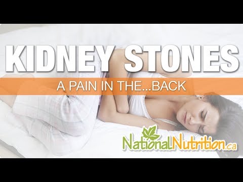 l carnitine kidney stones Kidney Stone Symptoms, Causes, and Support | National Nutrition Articles
