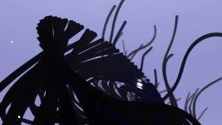 Flying Moon In Space – “Next Life”