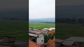 Download lagu indah nya pemandangan sawah di sore hari mp3 Download lagu indah nya pemandangan sawah di sore hari mp3