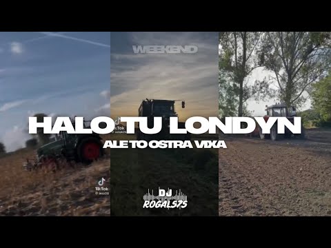 WEEKEND - HALO TU LONDYN ALE TO OSTRA VIXA (ROGAL575 MASHUP)